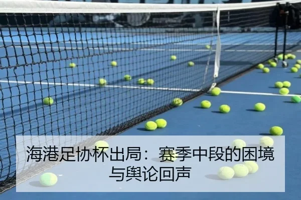海港足协杯出局：赛季中段的困境与舆论回声